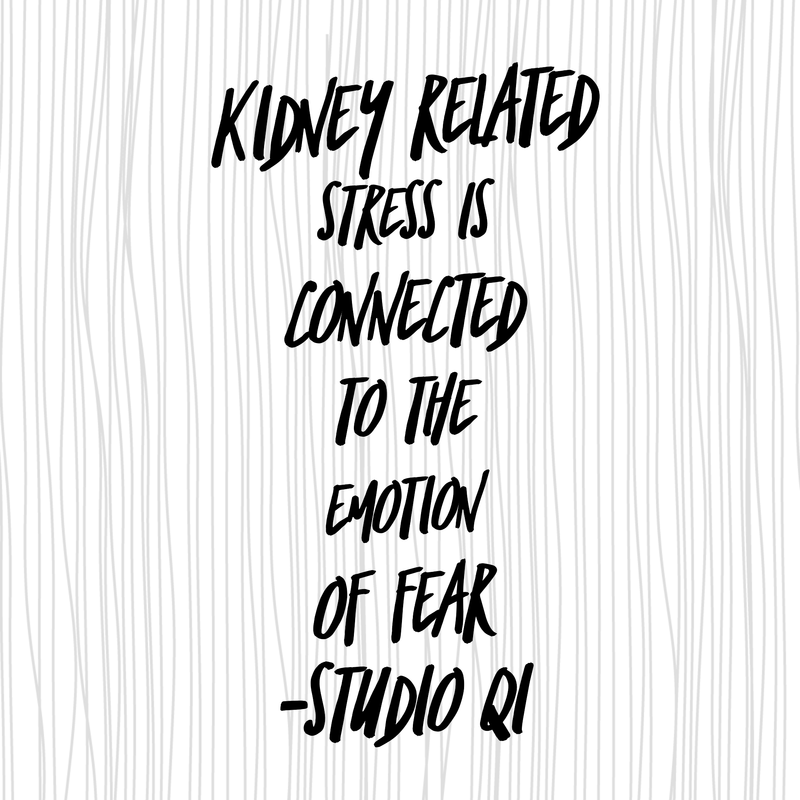 Stress: fear & the kidneys Stress: fear & the kidneys